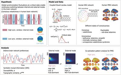 Criticality Creates a Functional Platform for Network Transitions Between Internal and External Processing Modes in the Human Brain